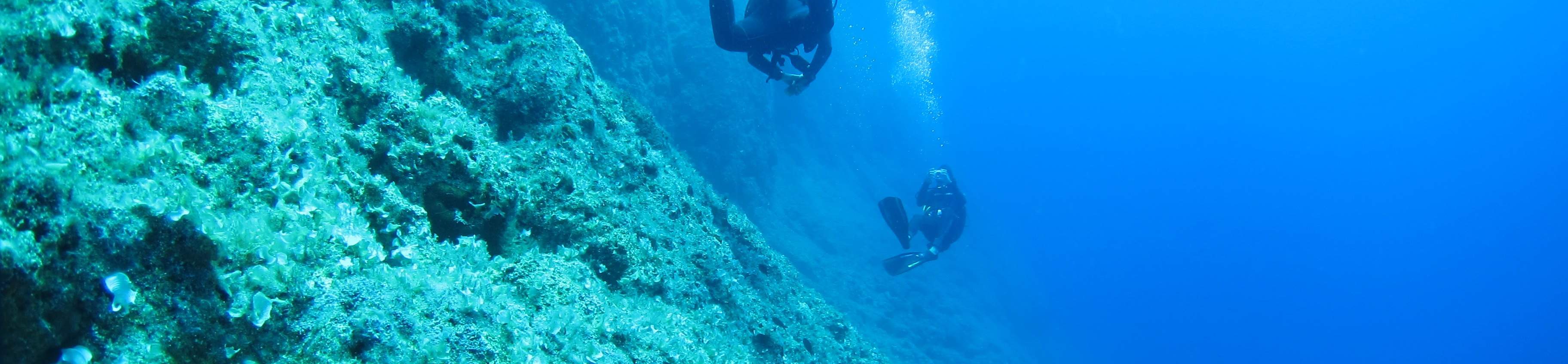 PADI進階開放水域潛水員【線上學習】